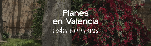 Esta semana, ¡Valencia lo tiene todo! Cultura, tapas, misterio y naturaleza