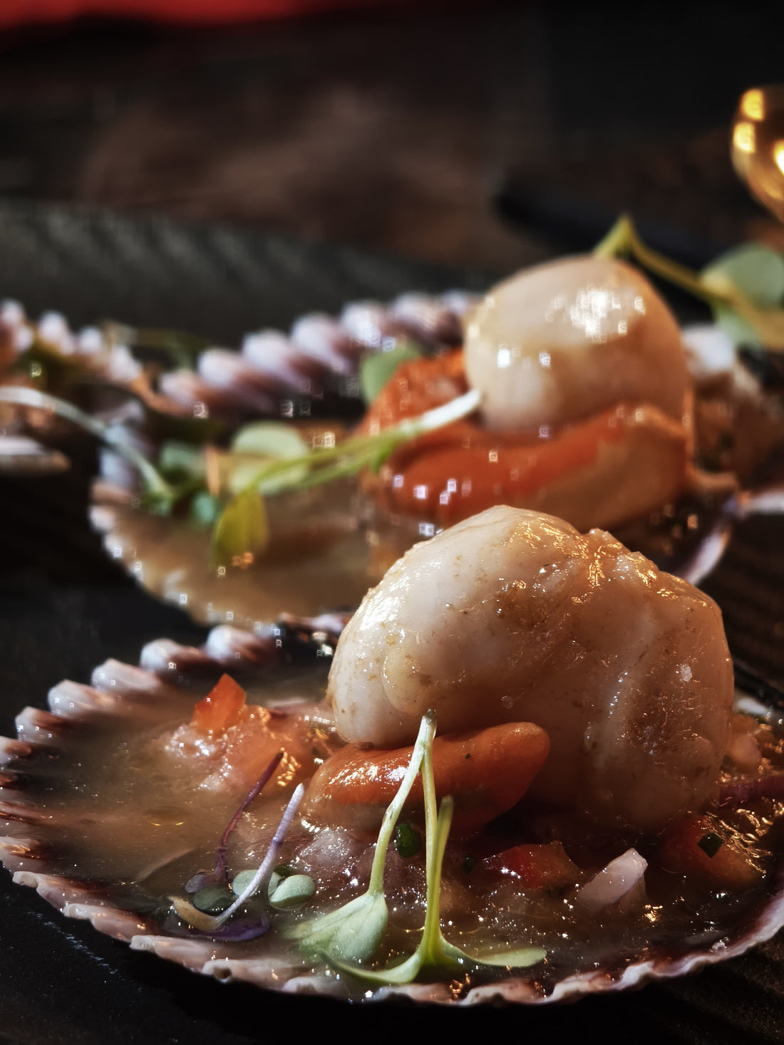 Black Taurus llega a Valencia